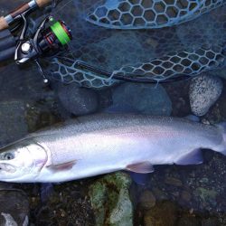 強風に苦戦 ～天竜川ルアーフライ専用区～